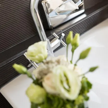 מלון 81 דוביל